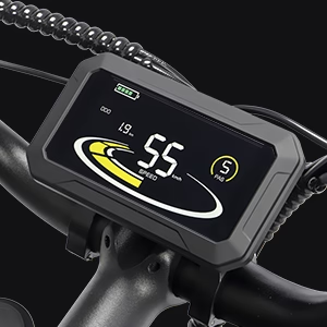 Vélo électrique à gros pneus Ridstar Q20 Pro 2000 W