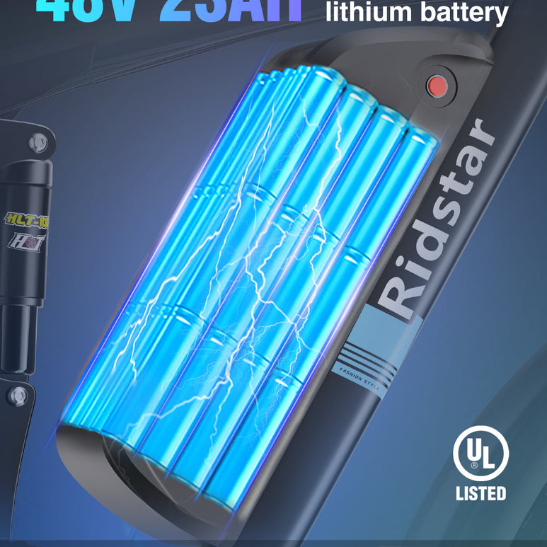 Ridstar® E Bike E26Pro Bicicletta elettrica pieghevole da montagna con pneumatici larghi