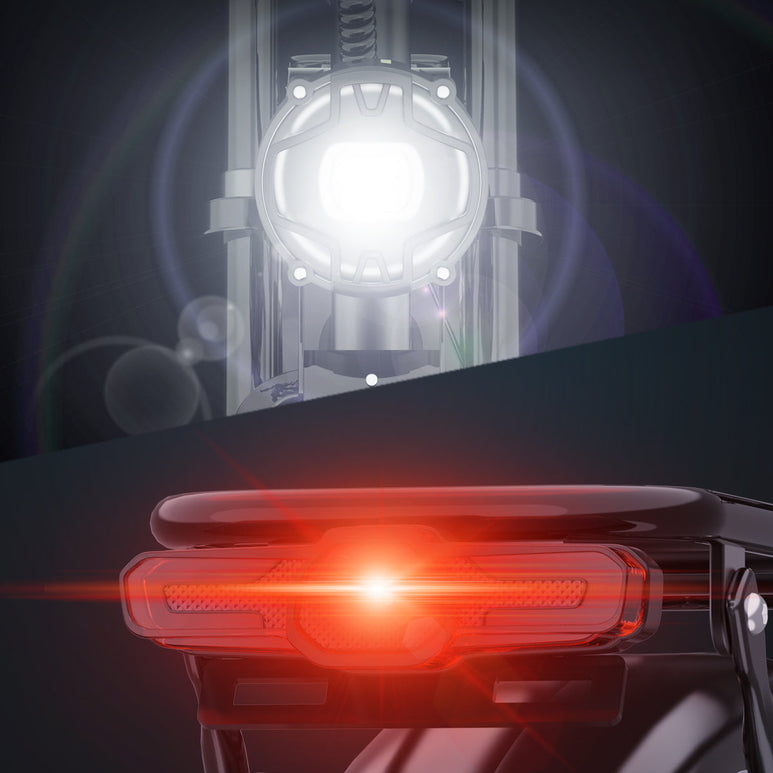 Ridstar® E Bike E26Pro Bicicletta elettrica pieghevole da montagna con pneumatici larghi