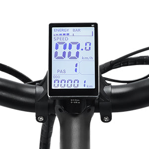 Ridstar H20 Folding Electric Bike