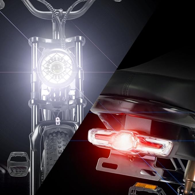 Bicicletta elettrica Ridstar Q20MN 1000W Fat Tire