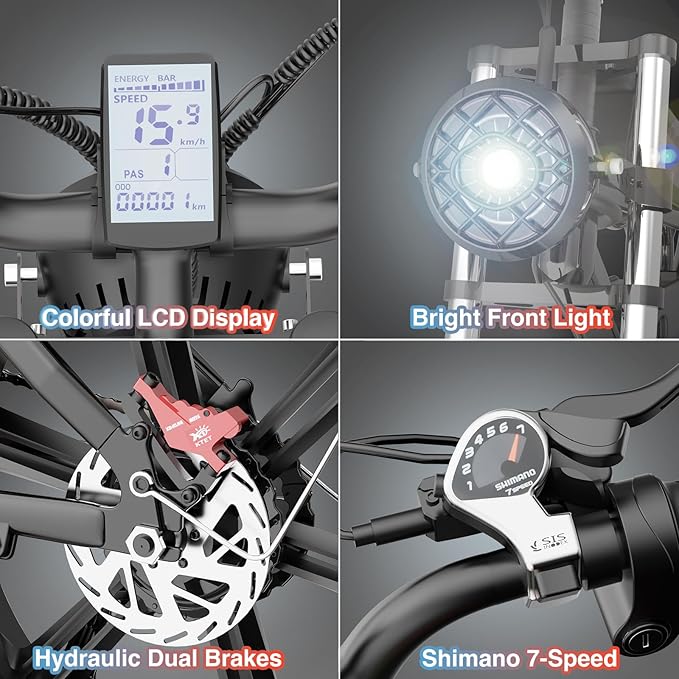 Bici elettrica per adulti, Q20 1500W 48V20AH Fat tire Electric Bike