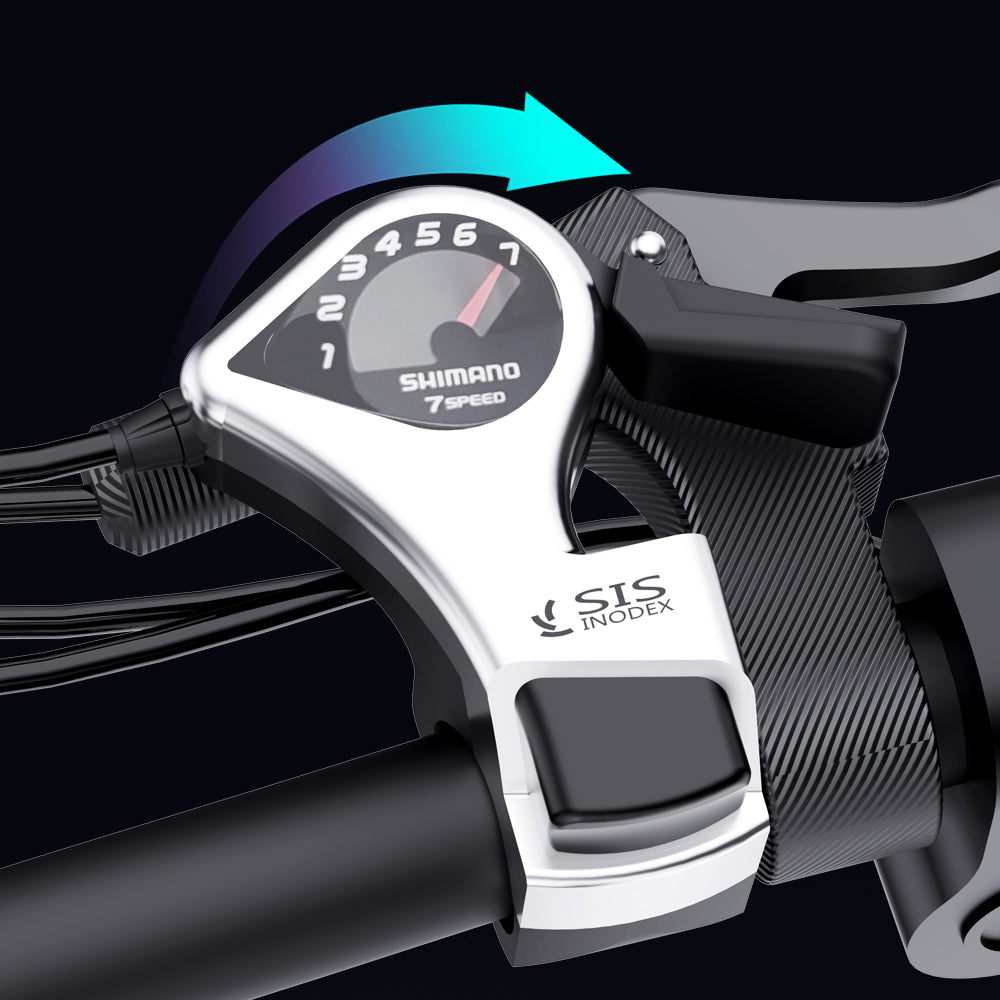 Vélo électrique pliable Ridstar H20Pro