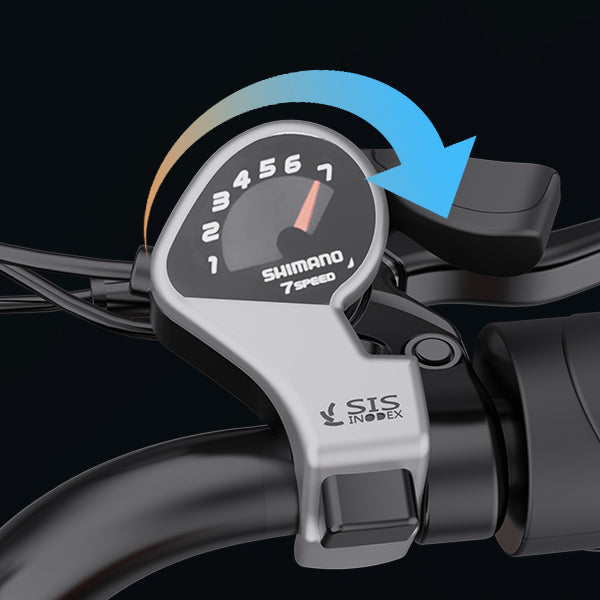 Ridstar® CR20 1500W Fat Tire Electric Bicycle