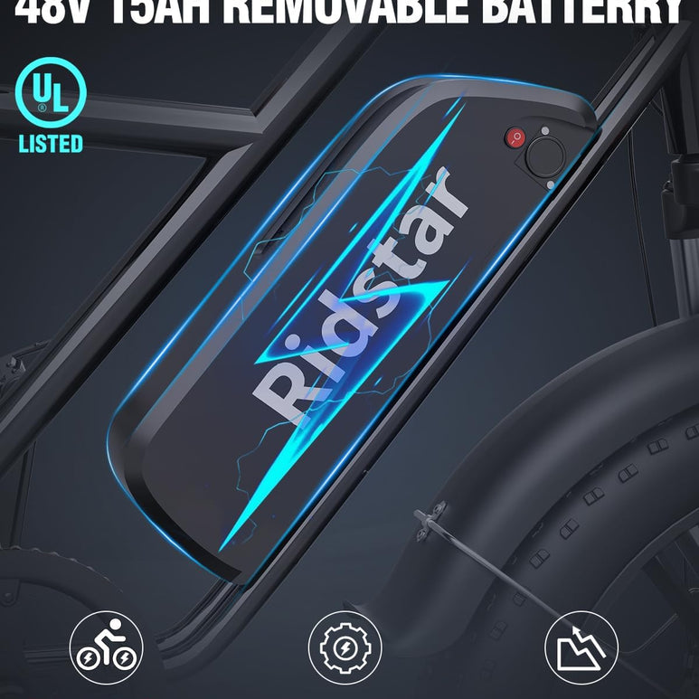 Bici elettrica Ridstar FM001 Fat Tire a 2 posti