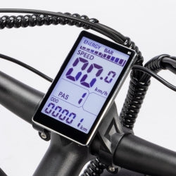 Ridstar DC26 750W Folding Fat Tire Mountain Electric Bike